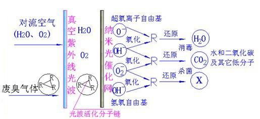光催化氧化設(shè)備(圖2)