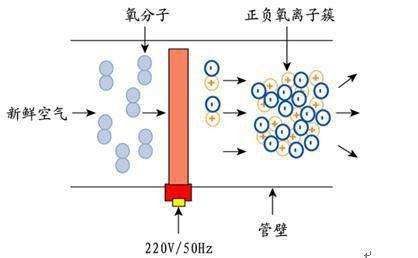 等離子廢氣臭氣處理裝置(圖2)